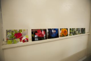20120418005